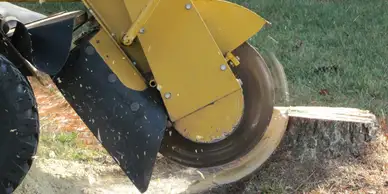 Stump Grinding​